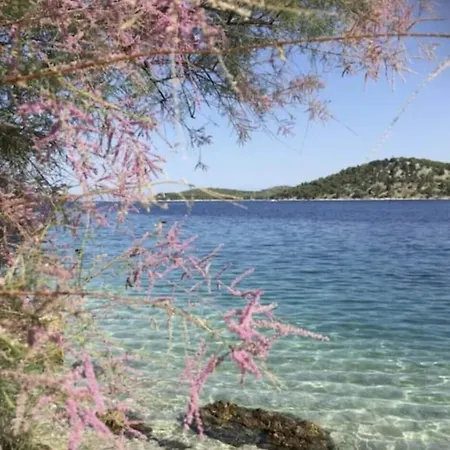 Apartment 3 Bedroom On The Sea With Garden